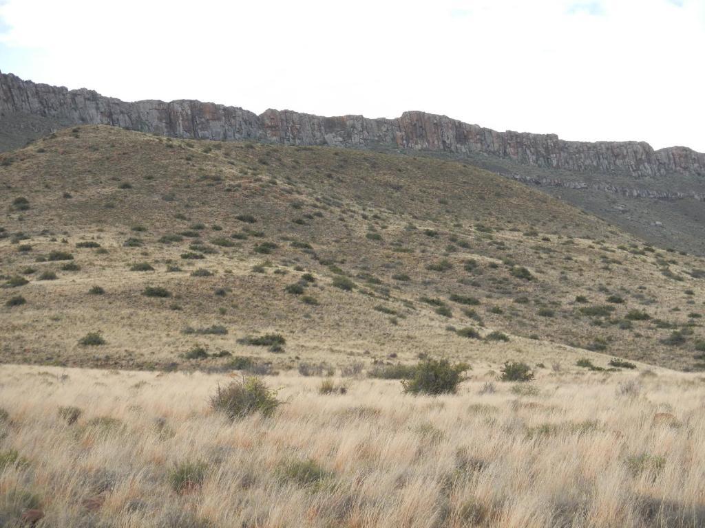 Lemoenfontein Guest House Beaufort West Bagian luar foto